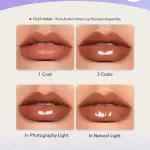 Pout -Perfect Shine Lip Plumper