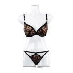 2Pcs Bra & Panty With Wire 