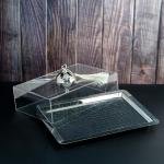 luxurious serving tray with a silver dome-shaped cover with a ring handle