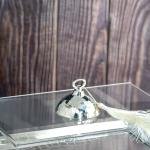 luxurious serving tray with a silver dome-shaped cover with a ring handle