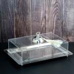 luxurious serving tray with a silver dome-shaped cover with a ring handle