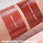 Sheglam Tech Ahnt Lip Tint