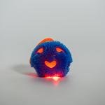 Rubber Ball with LED Light