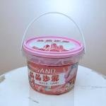 Magic Sand Ocean Animal Set – Kinetic Sand Kit with Sea Creature Molds in Bucket Container