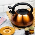 Stainless Steel Whistling Kettle – Induction Compatible