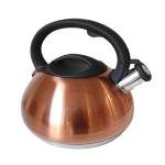 Stainless Steel Whistling Kettle – Induction Compatible