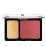 كاتريس باليت بلاش وهايلايتر تشيك آفير 020 إند أوف فريندزون